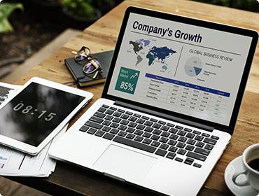 Chief Executive Officer (CEO)